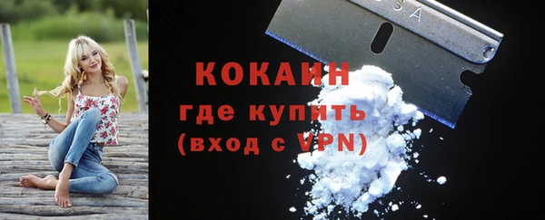 ешки Медногорск