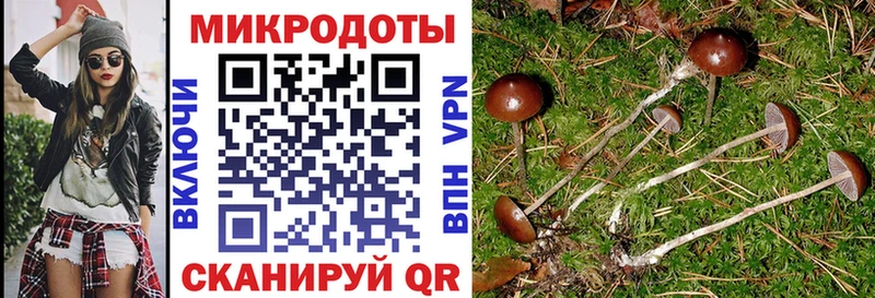 ОМГ ОМГ вход  Нефтекумск  Псилоцибиновые грибы мицелий 