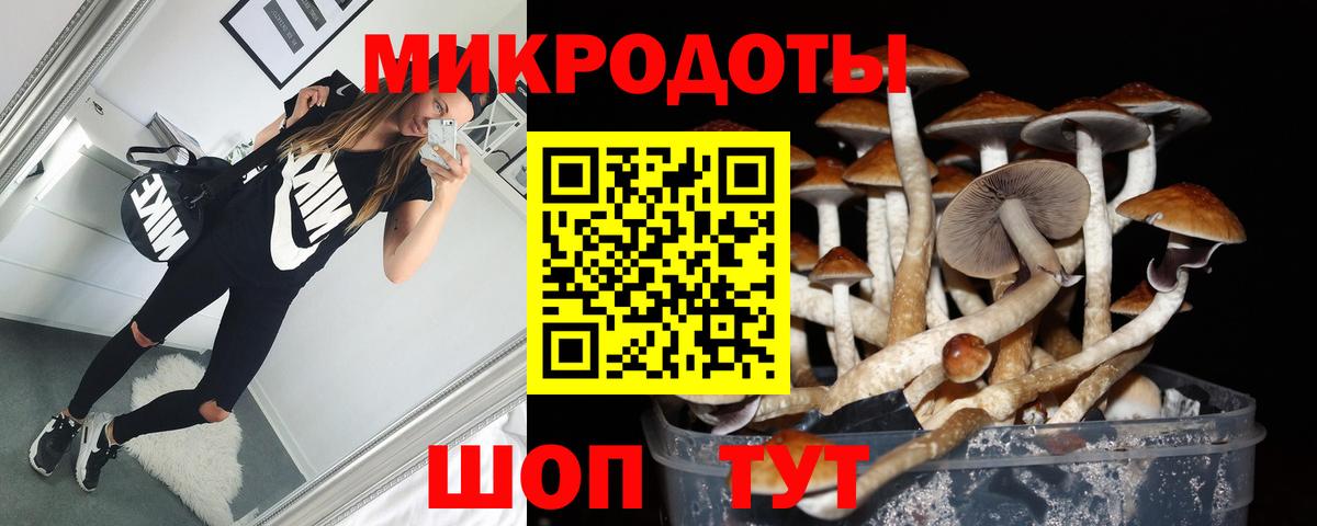Галлюциногенные грибы Psilocybine cubensis  Галлюциногенные грибы Psilocybine cubensis  Вход с VPN  Нефтекумск 